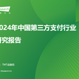 2024年中国第三方支付行业研究报告