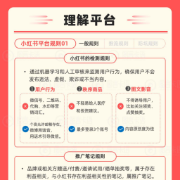 2024年小红书运营小红书IP知识地图